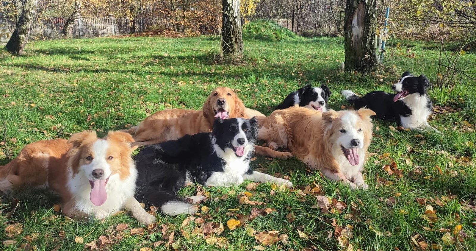 whatsapp image 2026 02 20 at 10.13.15