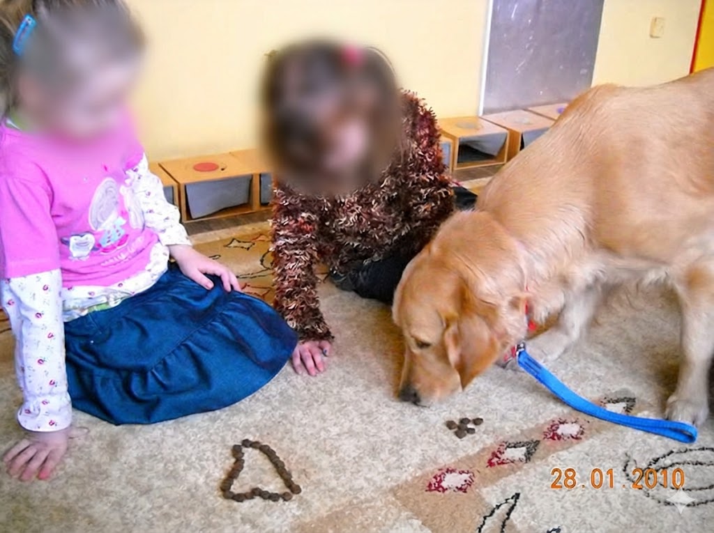 dogoterapia pieszczoch.com.pl rybnik piece of heaven